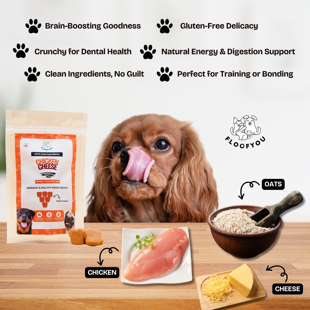 Floofyou Chicken Cheese Oven Baked Cookie Dog Treats