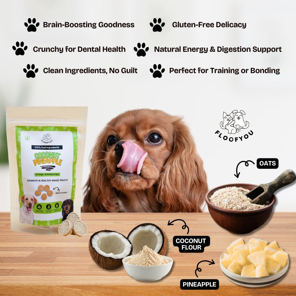 Floofyou Coconut Pineapple Vegan Oven Baked Cookie Dog Treats