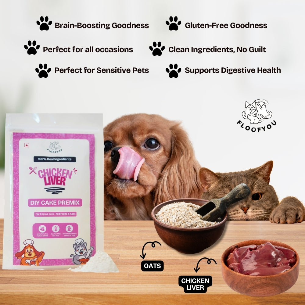 Floofyou Home Made Chicken Liver Birthday Cake Mix for Dogs and Cats