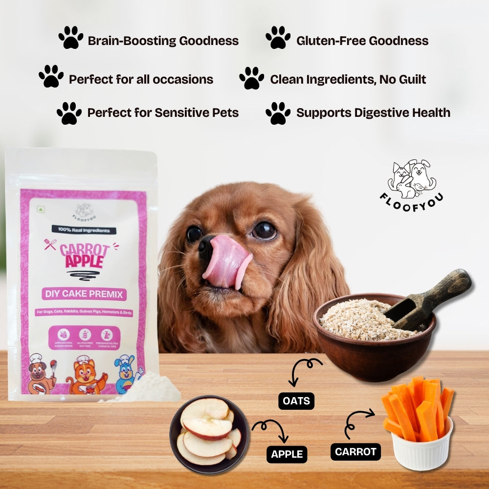 Floofyou Home Made Carrot Apple Birthday Cake Mix for Dogs and Cats