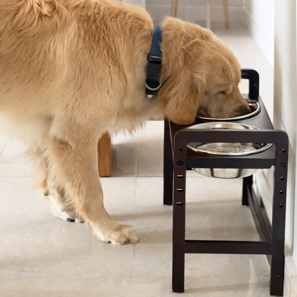 FurryLiving Linea Adjustable Elevated Raised Feeder with 2 Bowls for Dogs and Cats (Dark Brown)