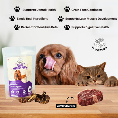 Floofyou Air Dried High Protien Goat Organs Jerky Dog & Cat Treats