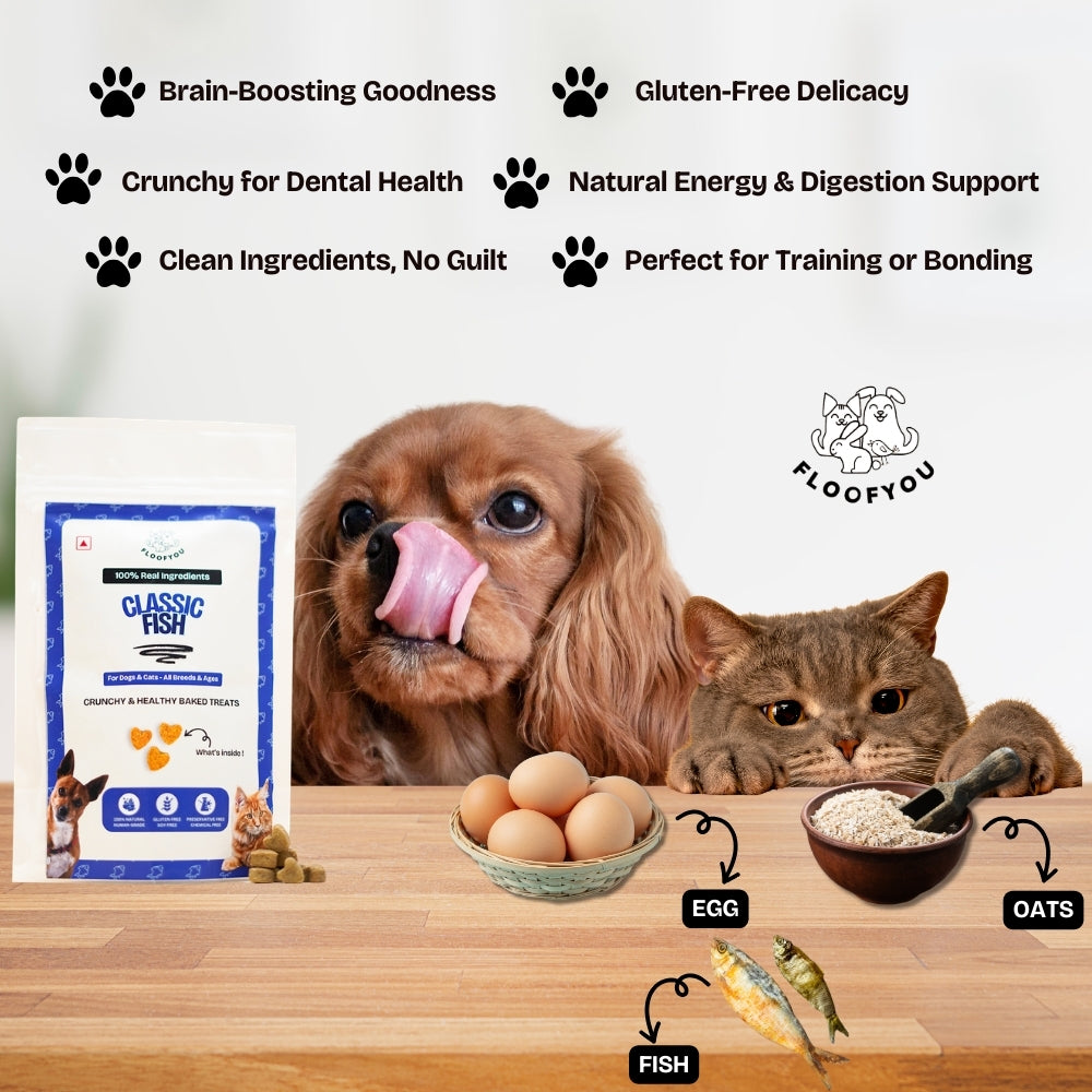 Floofyou Fish Oven Baked Cookie Dog and Cat Treats