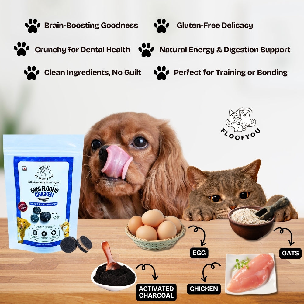 Floofyou Mini Floofio Chicken Oven Baked Cookie Dog Treats