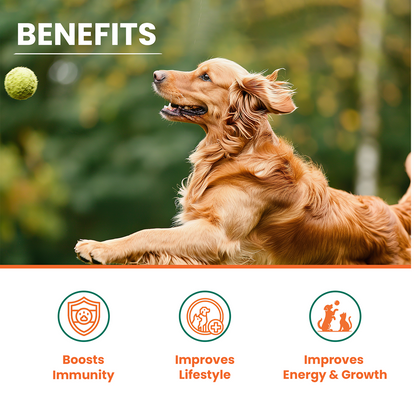 Lickicious Chicken Flavour Multivitamin Syrup for Dogs & Cats