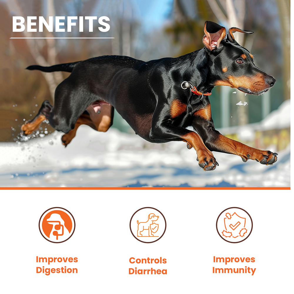 Lickicious Pre and Probiotics Sachets,Gut Health & Digestion for Dogs & Cats