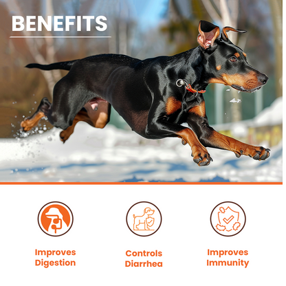 Lickicious Pre and Probiotics Sachets,Gut Health & Digestion for Dogs & Cats