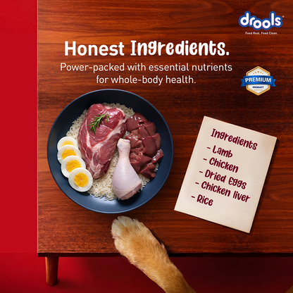 Drools Lamb and Rice Adult Dog Dry Food