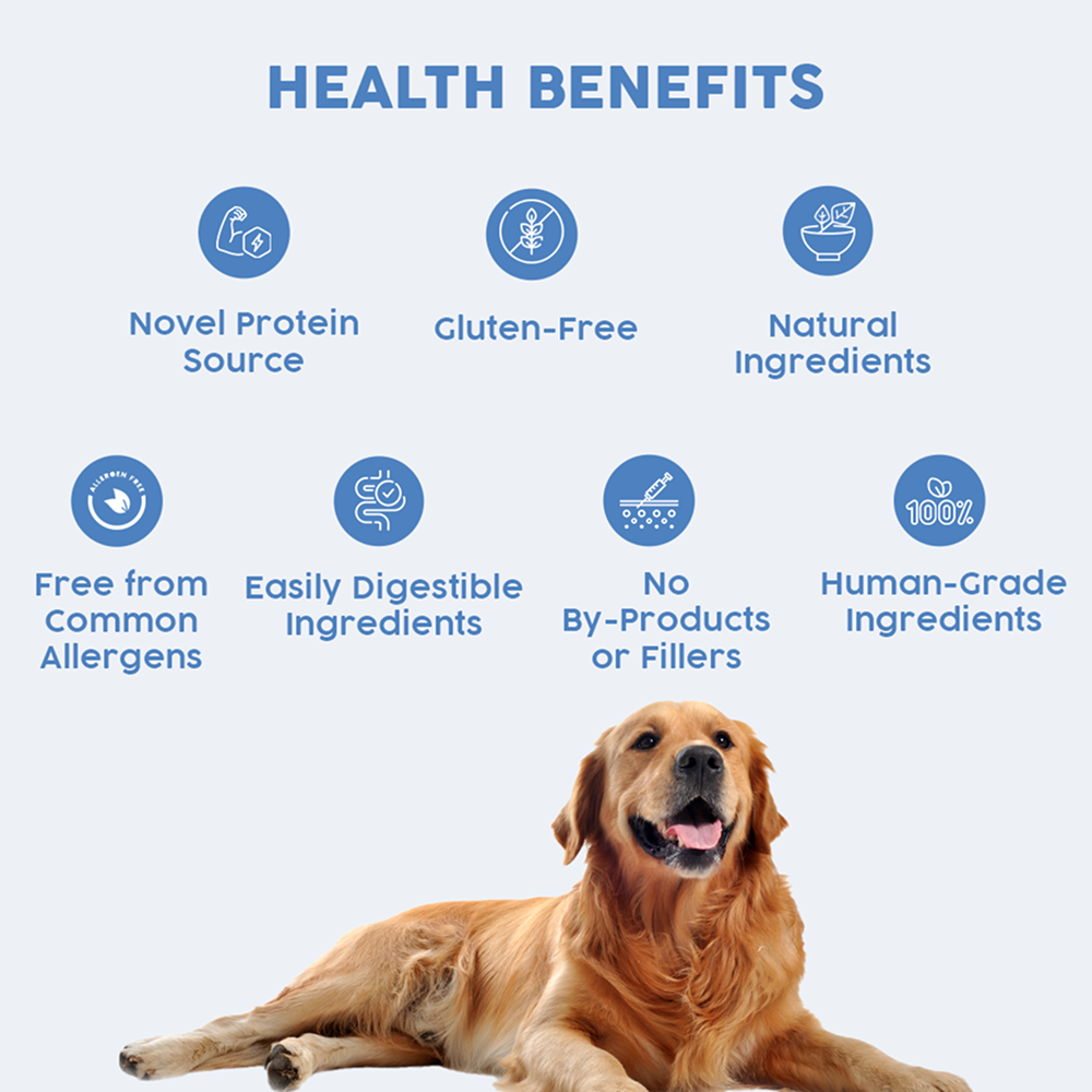 Benny's Bowl Hypoallergenic Diet to Prevent Allergies Dog Wet Food