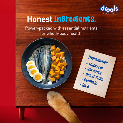 Drools Fish and Rice Adult Dog Dry Food