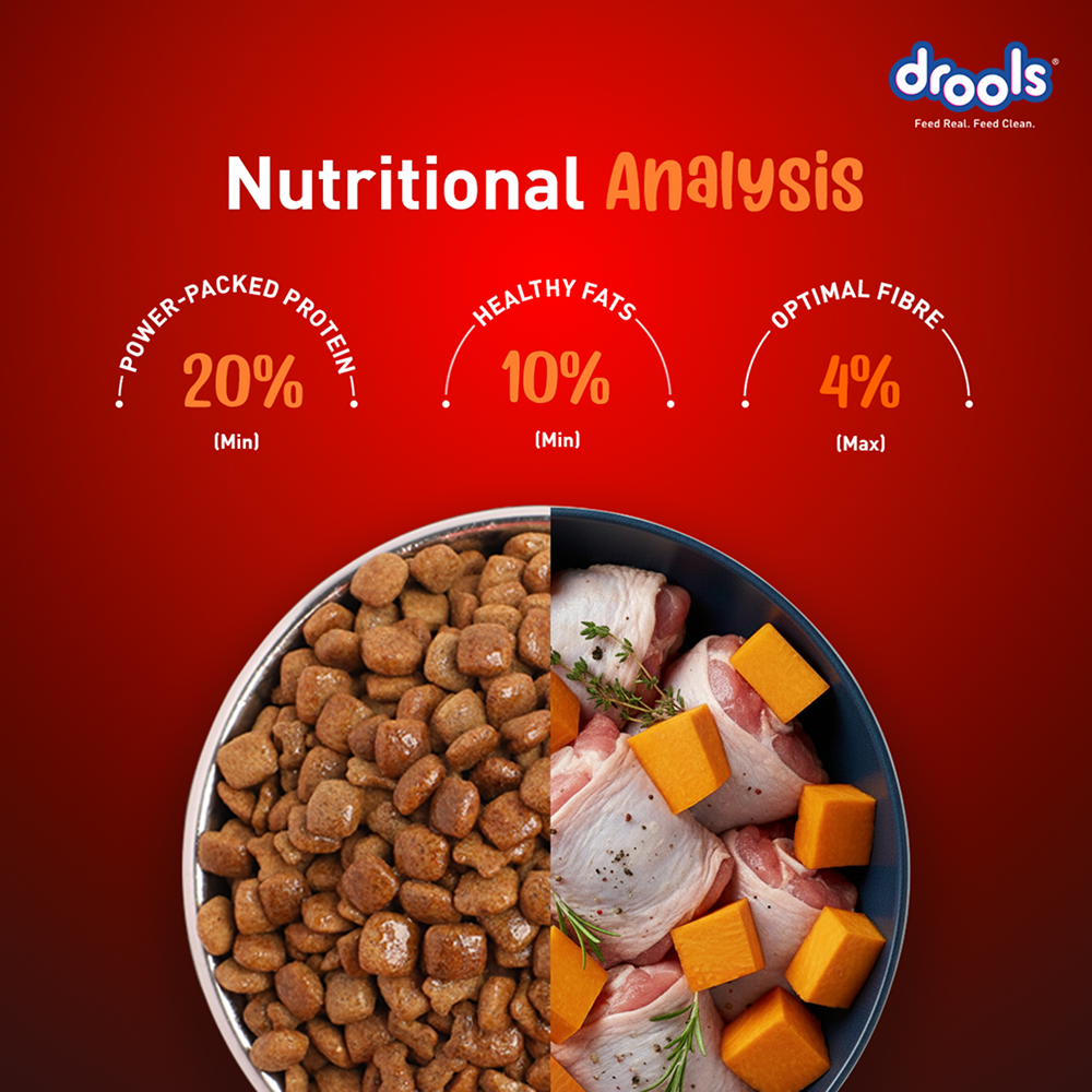 Drools Turkey and Pumpkin Adult Dog Dry Food