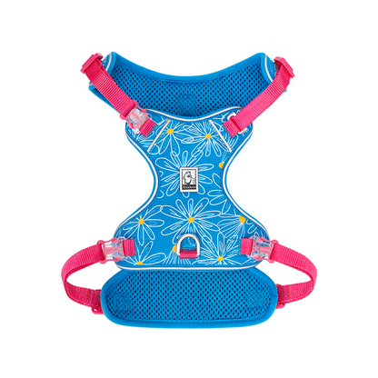Truelove Ultra Light Harness & Leash Set for Small Dogs (Diva Blue)