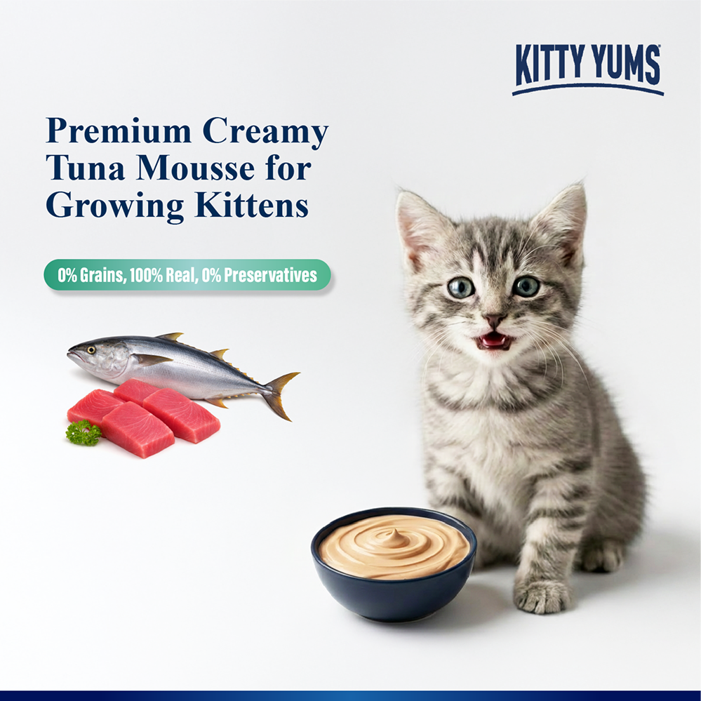Kitty Yum Tuna Mousse Kitten Cat Wet Food