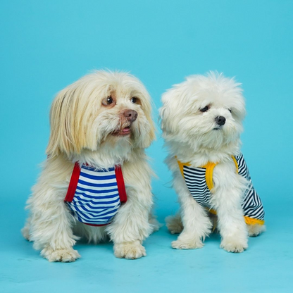 Pets Way Fetch Vest Combo for Dogs (Pack of 3)