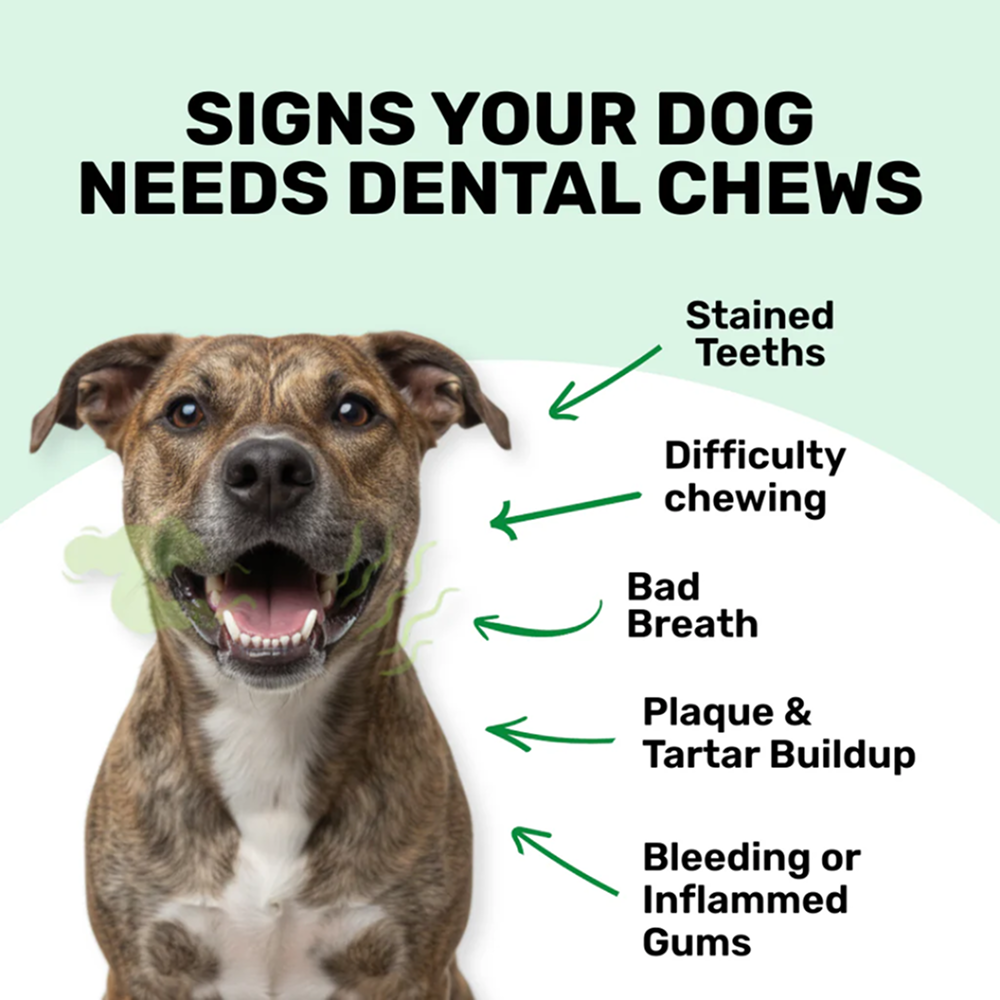 Absolut Pet Oral Care Plaque & Tartar Remover Chews Dog Supplement