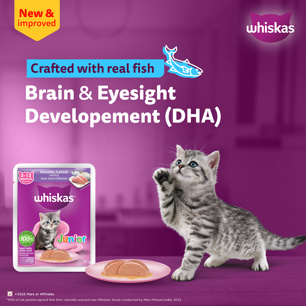 Whiskas Kitten Wet Food Value Combo |Chicken, Tuna & Mackerel