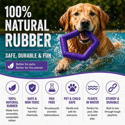 Talking Dog Club Sturdy Hexagon Floater Chew Toy for Dogs (Purple)