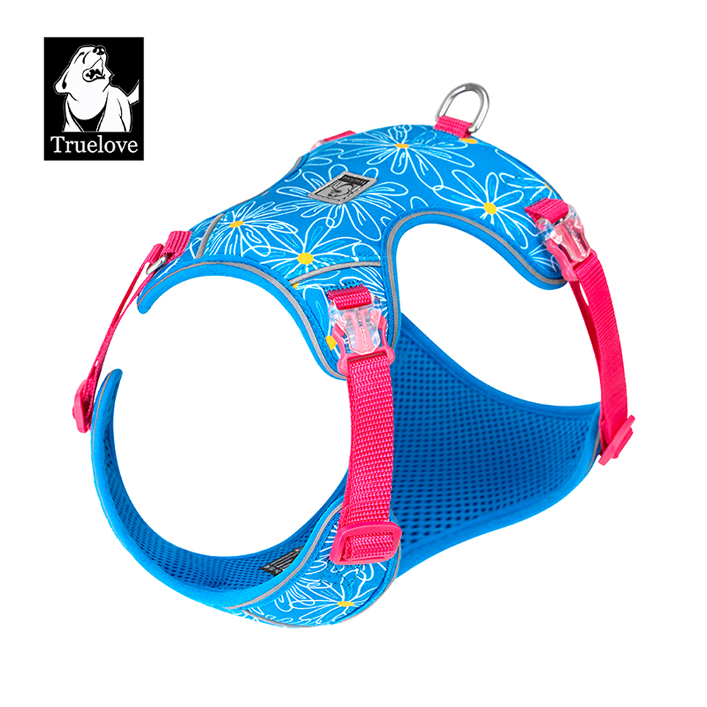 Truelove Ultra Light Harness & Leash Set for Small Dogs (Diva Blue)