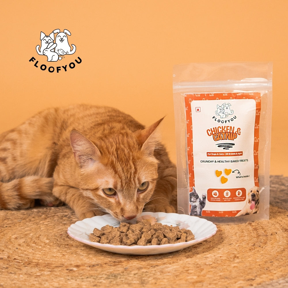 Floofyou Chicken Catnip Oven Baked Cookie Dog Treats