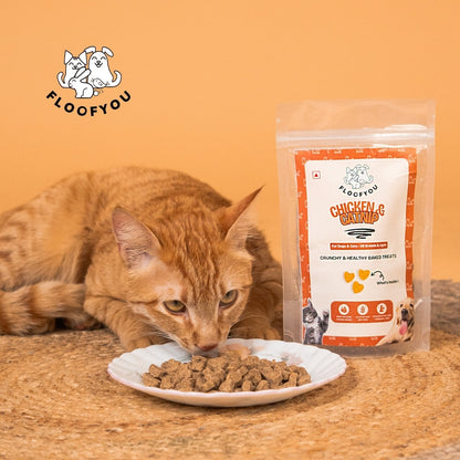 Floofyou Chicken Catnip Oven Baked Cookie Dog Treats