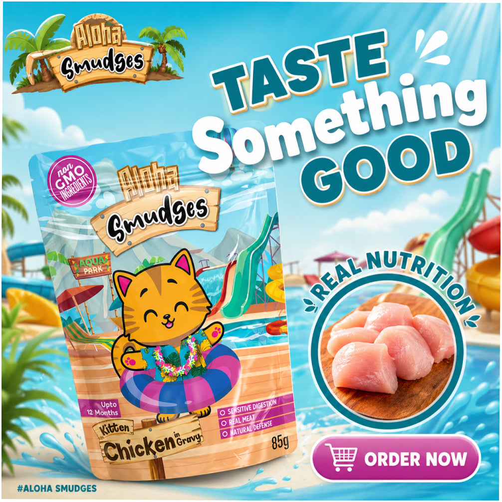 Aloha Smudges Chicken in Gravy Kitten Cat Wet Food