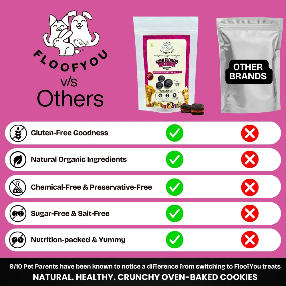 Floofyou Mini Floofio Beetroot Vegan Oven Baked Cookie Dog Treats