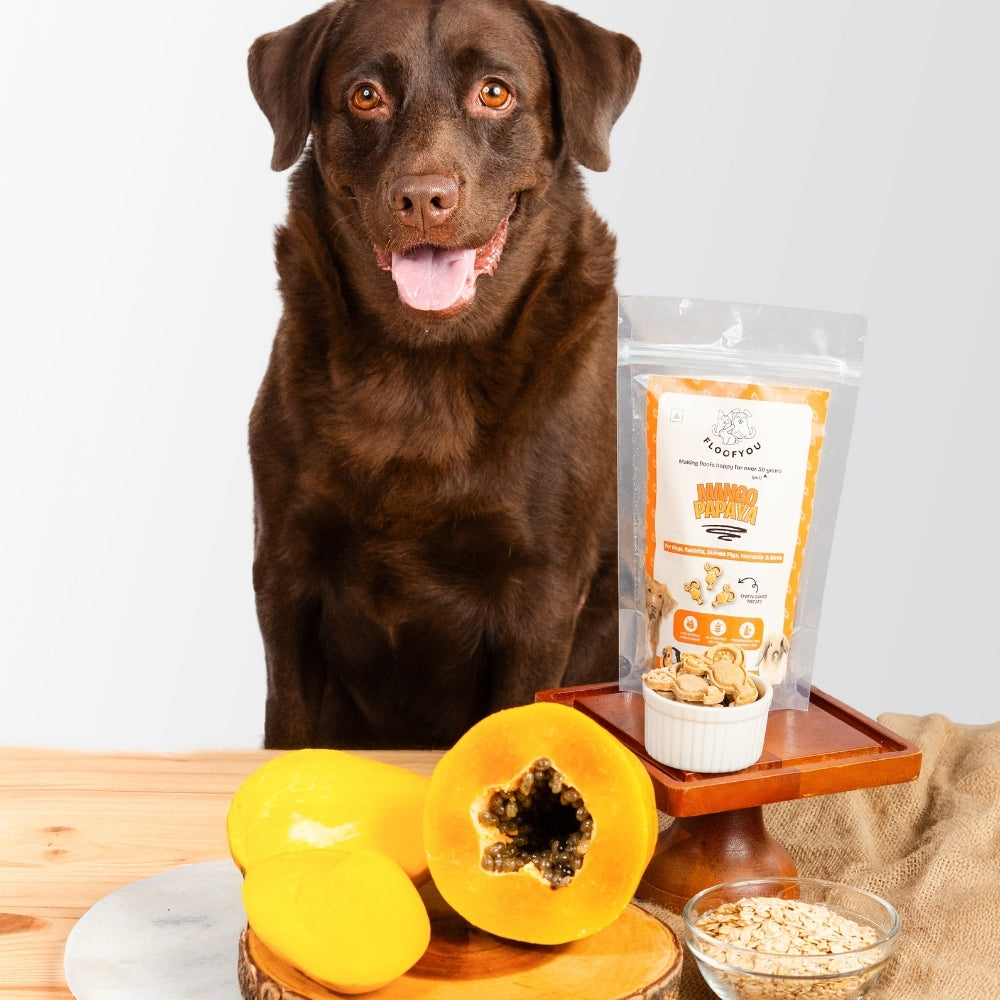 Floofyou Mango Papaya Vegan Oven Baked Cookie Dog Treats