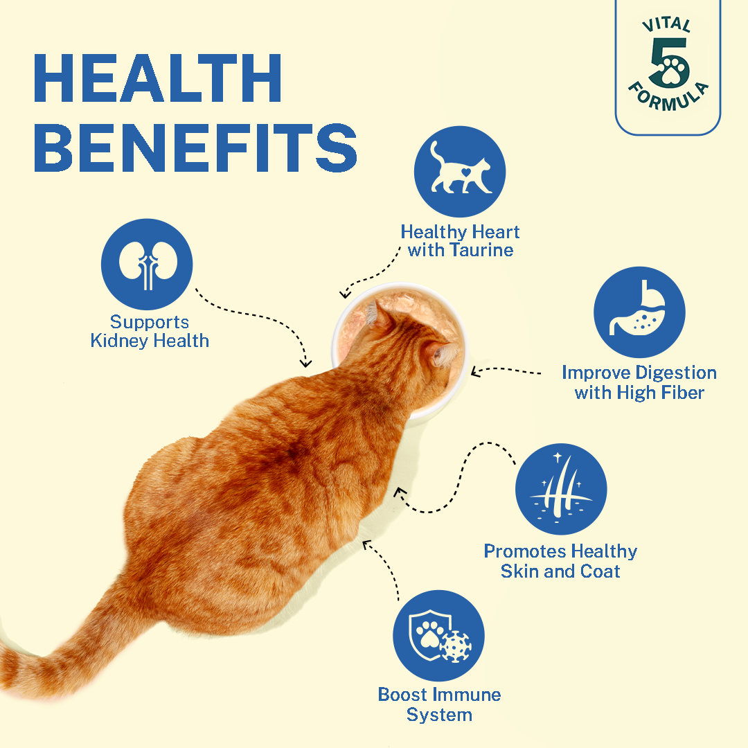 Smylo Kitten Variety Combo, Tuna & Chicken, Fresh & No-Preservative Wet Cat Food