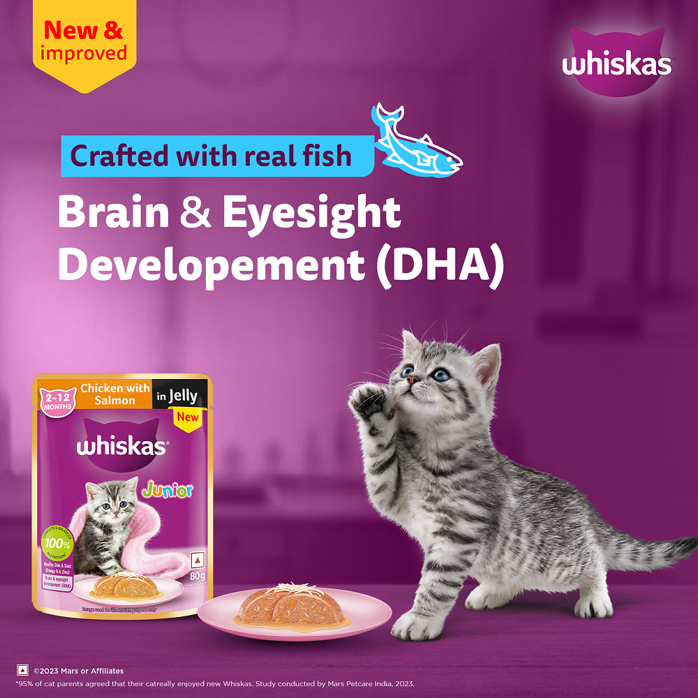 Whiskas Kitten Cat Food Combo |Ocean Fish Dry & Chicken with Salmon in Jelly in Gravy Wet