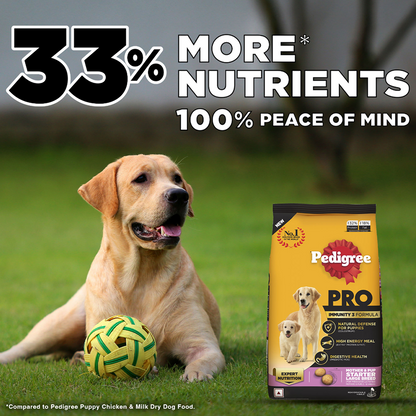 Pedigree PRO Expert Nutrition Lactating/Pregnant Mother & Puppy Starter(3 to 12 Weeks) Large Breed Dog Dry Food  (Limited Shelf Life)