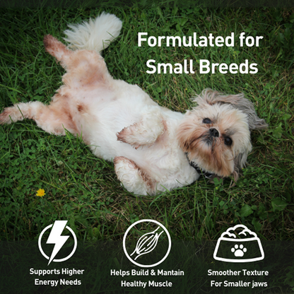Homiee & Ginger Grain Free Mini Meals Chicken & Sweet Potato, Chicken & Quinoa and Chicken & Barley Fresh Food for Dogs Combo