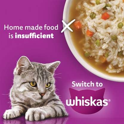 Whiskas Adult Cat Food Combo |Mackerel Dry & Chicken in Gravy Wet