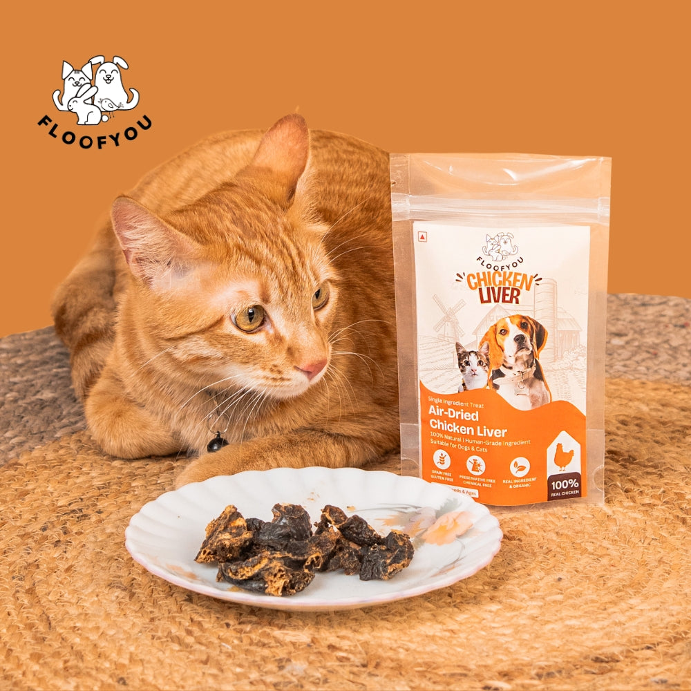 Floofyou Air Dried High Protein Chicken Liver Jerky Dog Treats