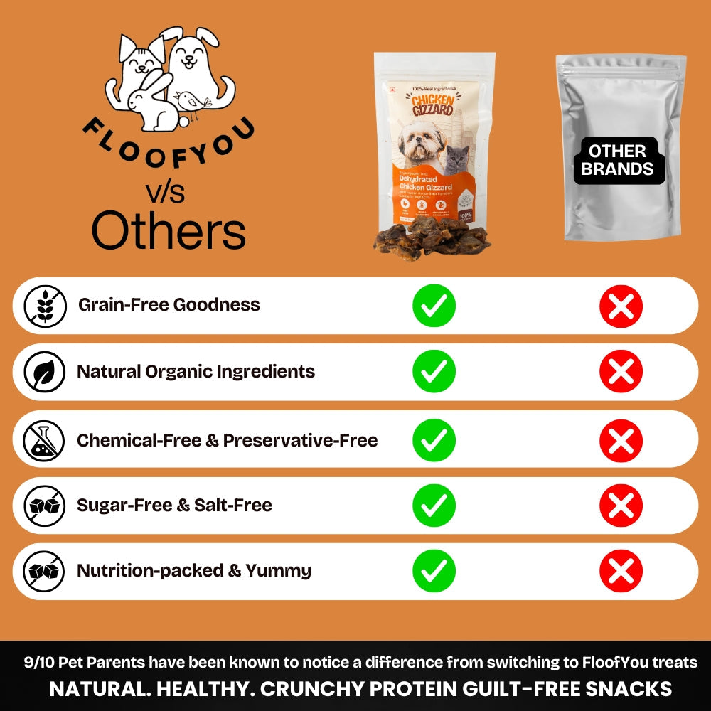 Floofyou Air Dried High Protein Chicken Gizzard Jerky Dog and Cat Treats