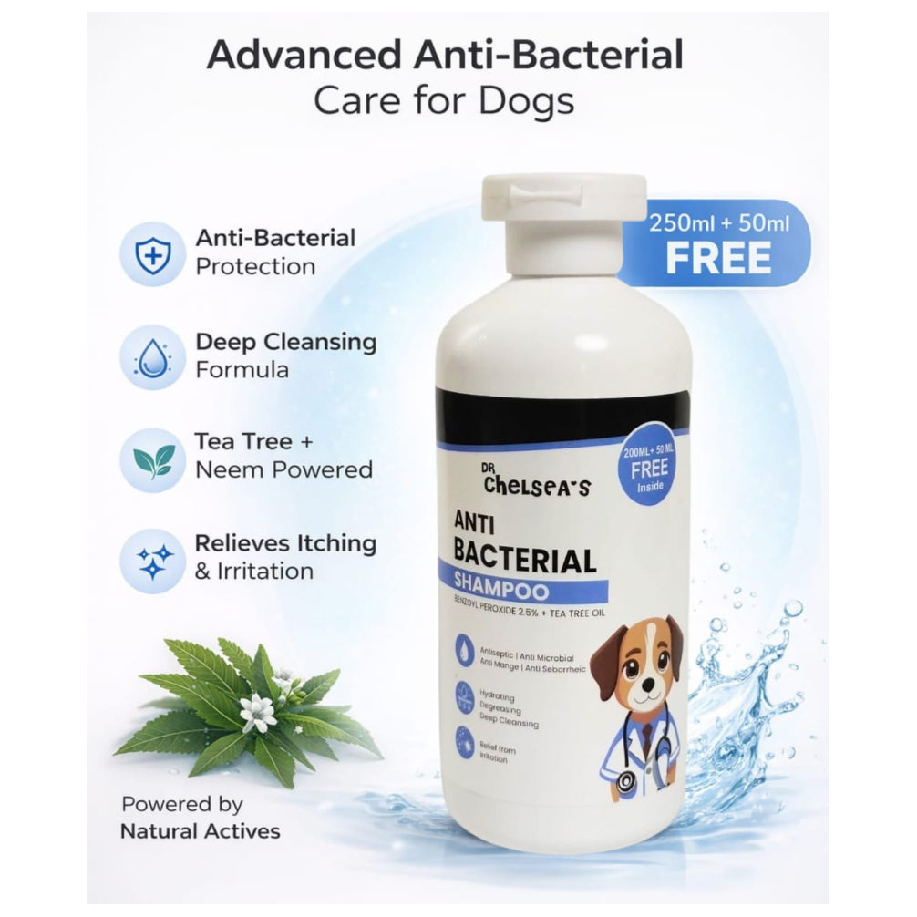 Dr. Chelsea’s Anti Bacterial Shampoo for Dogs & Cats
