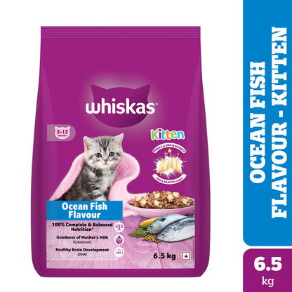 Whiskas Kitten Cat Food Combo |Ocean Fish Dry & Chicken with Salmon in Jelly in Gravy Wet