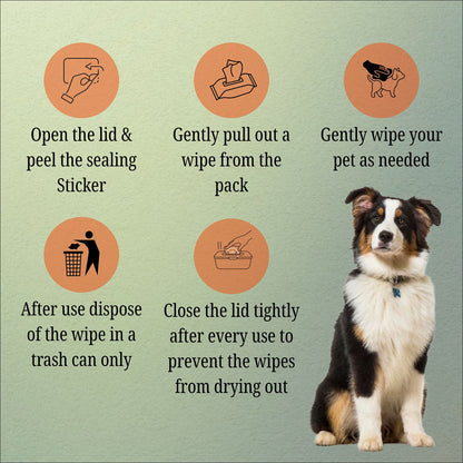 Nootie Wet Wipes for Dogs and Cats