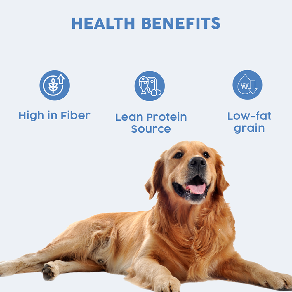 Benny's Bowl Clinical Nutrition for Weight Reduction Dog Wet Food