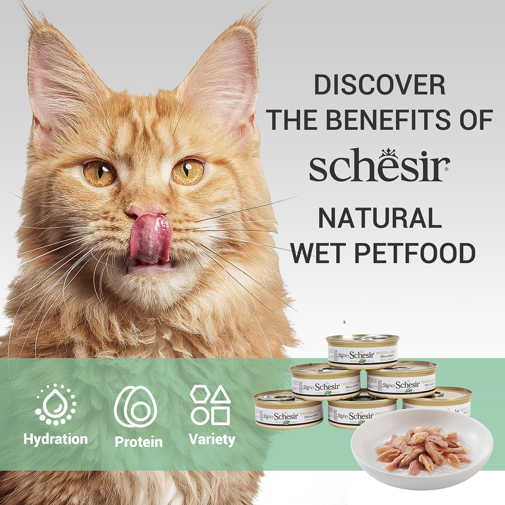 Schesir Tuna Whole Meat Salmon Rice in Jelly Adult Cat Wet Food