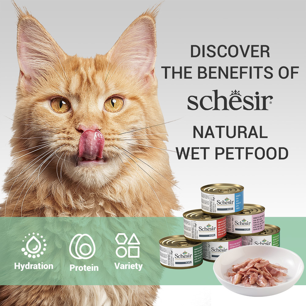 Schesir Tuna Whole Meat with Hake in Jelly Cat Wet Food