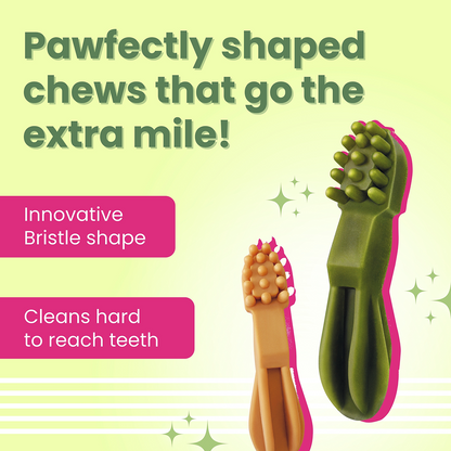 Bark Out Loud by Vivaldis Grain Free Chicken Dental Chews Dog Treats