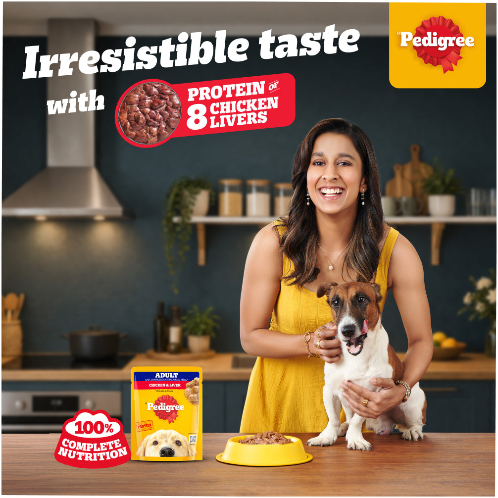 Pedigree Chicken Biryani Flavour Adult Dog Dry Food
