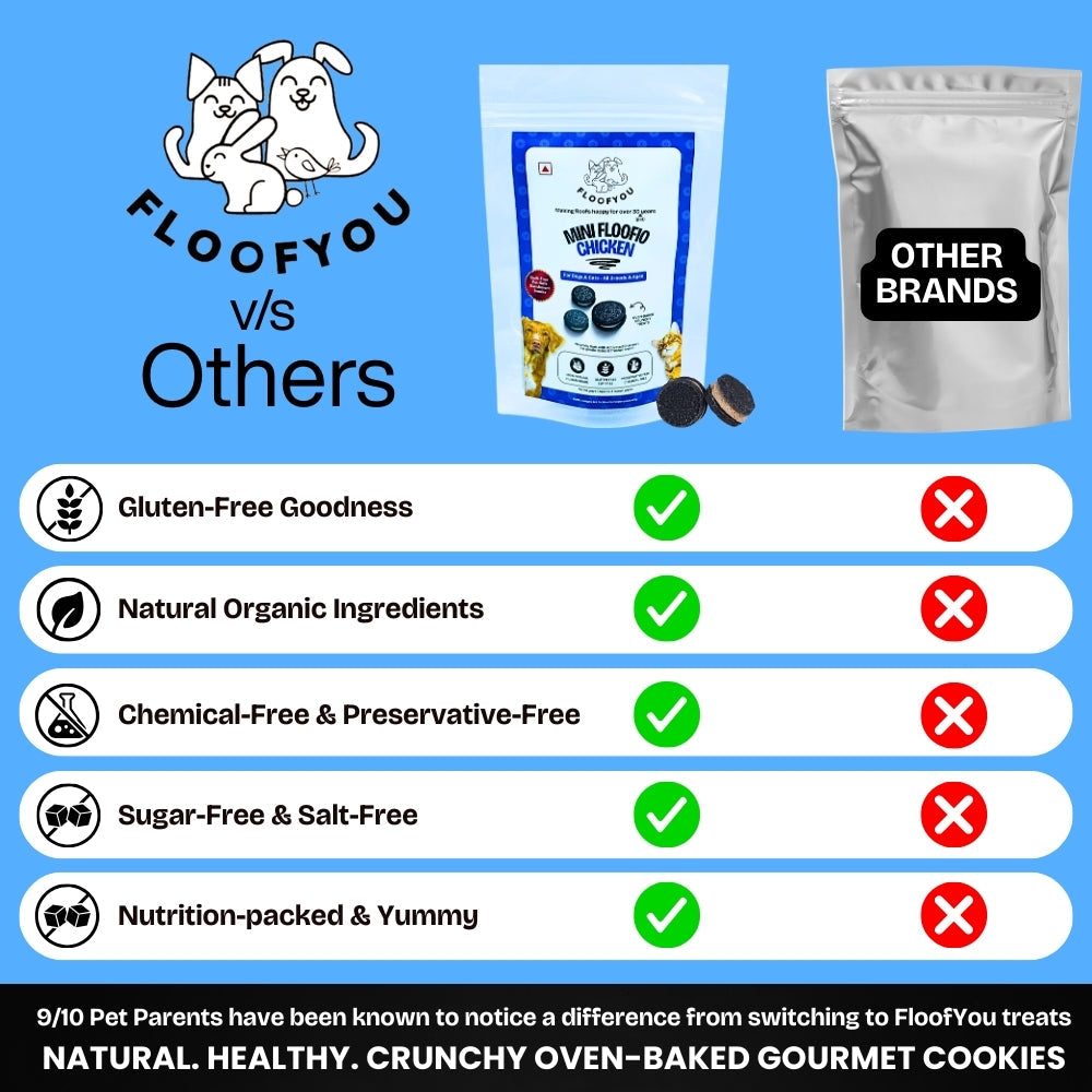 Floofyou Mini Floofio Chicken Oven Baked Cookie Dog Treats