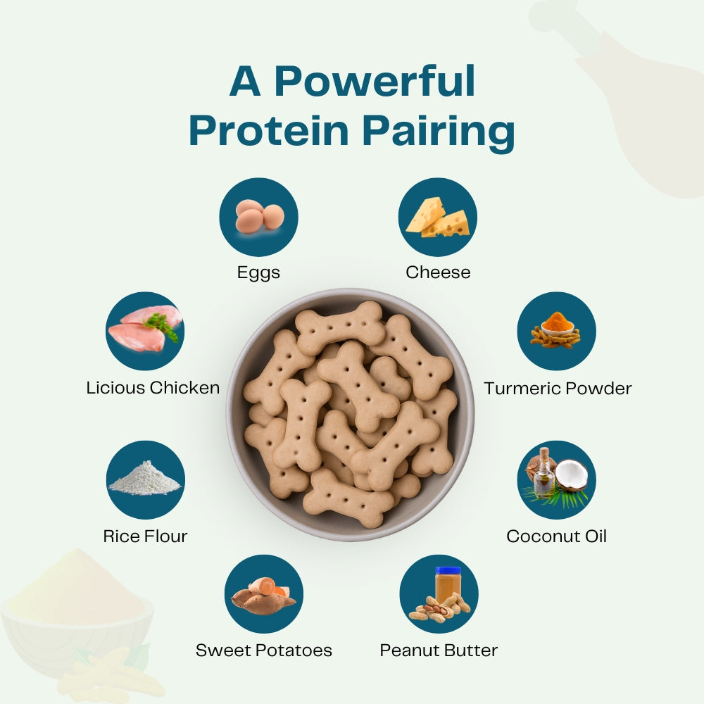 Pawfectly Made By Licious Chicken & Peanut Butter Biscuits Dog Treats
