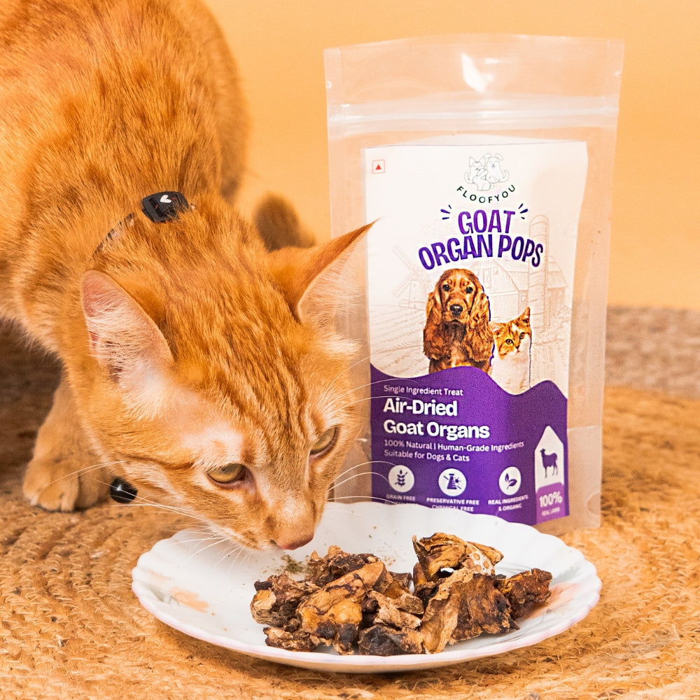 Floofyou Air Dried High Protien Goat Organs Jerky Dog & Cat Treats