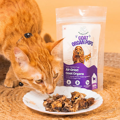 Floofyou Air Dried High Protien Goat Organs Jerky Dog & Cat Treats