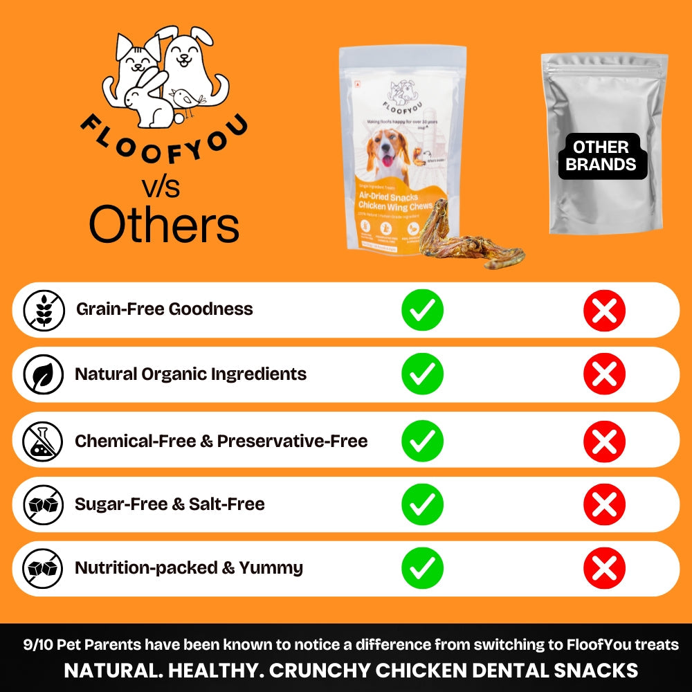 Floofyou Air Dried Chicken Wings Crunchy Dental Chew Dog Treats