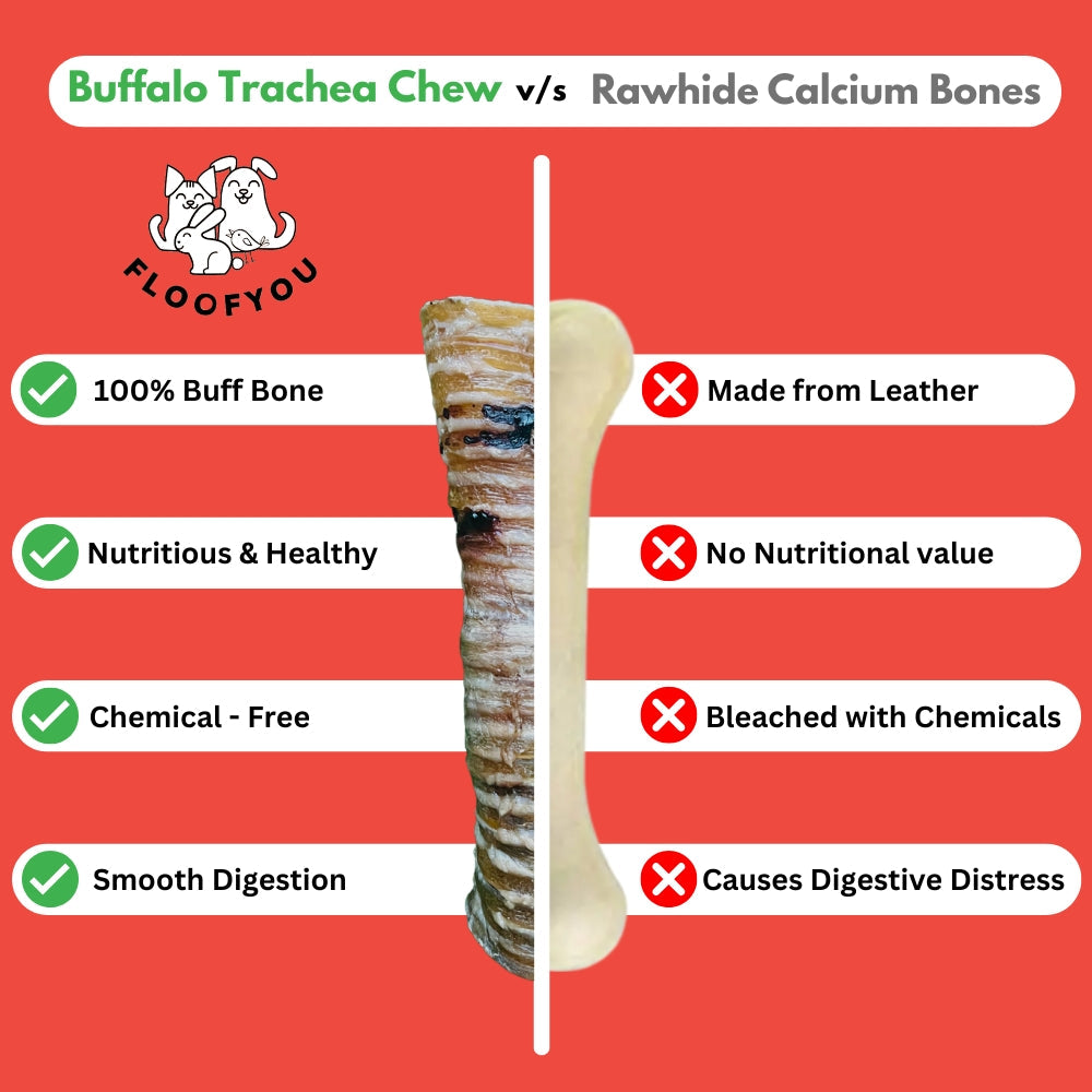 Floofyou Air Dried Buffalo Trachea Boneless Dental Chew Dog Treats