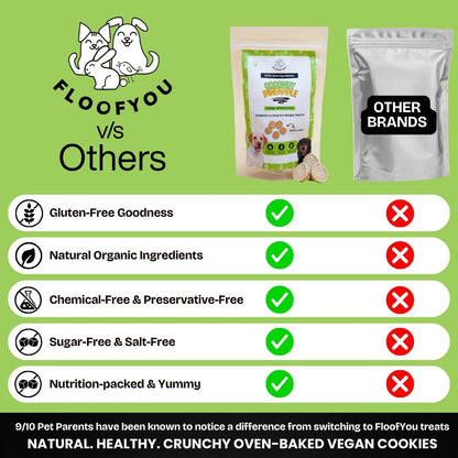 Floofyou Coconut Pineapple Vegan Oven Baked Cookie Dog Treats