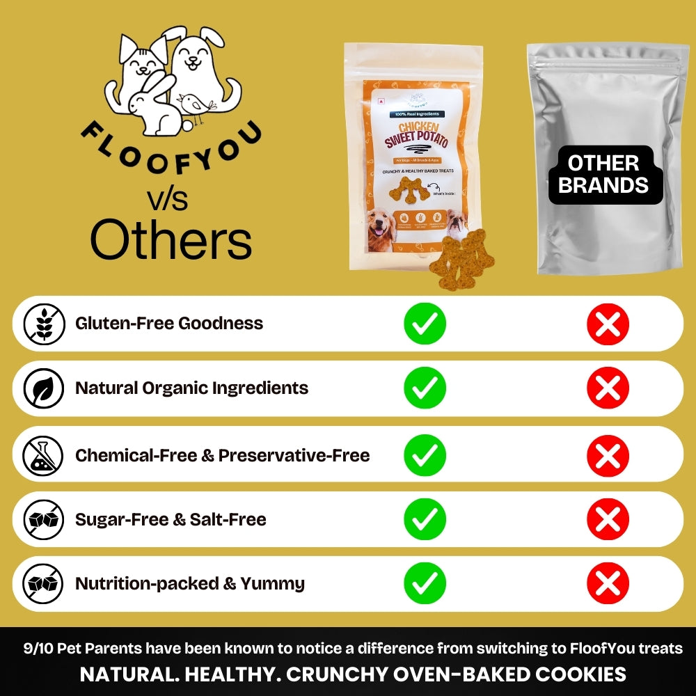 Floofyou Chicken Sweet Potato Oven Baked Cookie Dog Treats